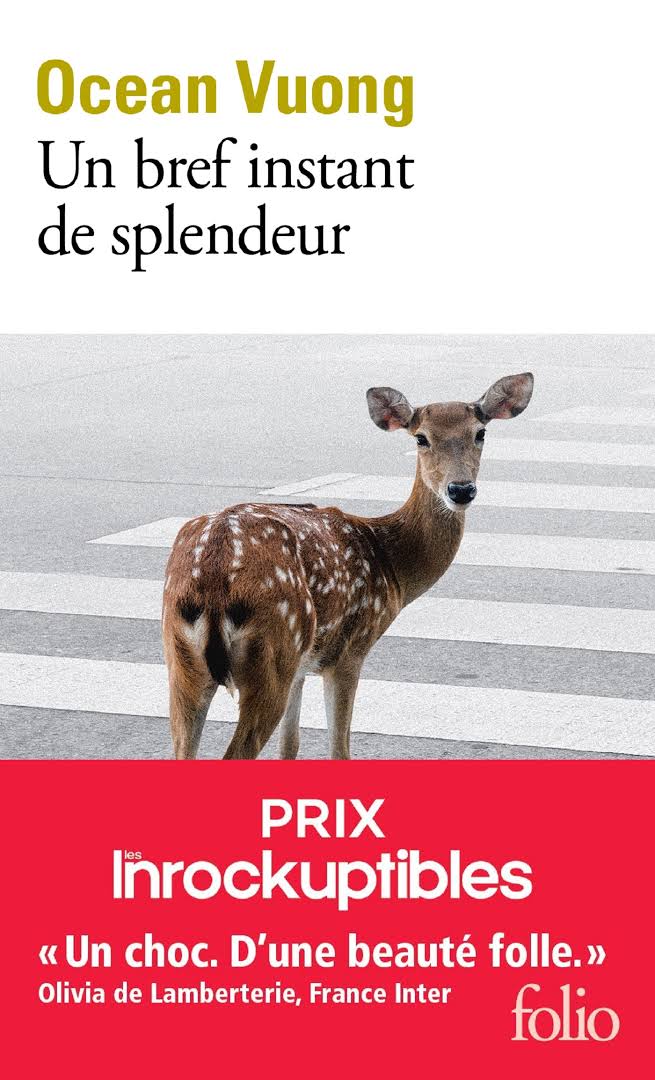 Couverture Un bref instant de splendeur d'Ocean Vuong